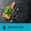 Azure Bermuda Mint | Hookah Vault