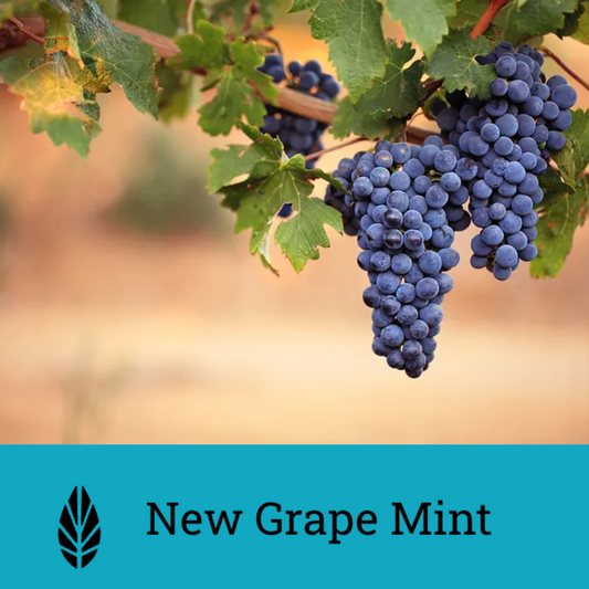 Azure New Grape Mint | Hookah Vault