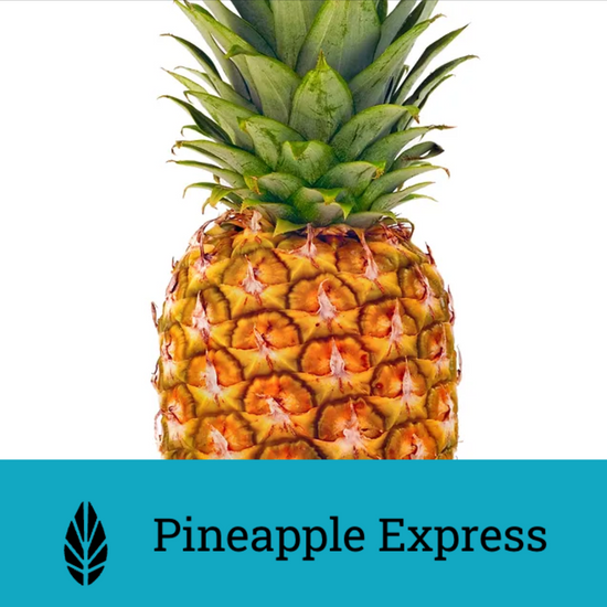 Azure Pineapple Express | Hookah Vault