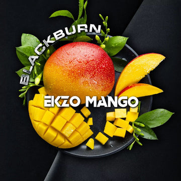 BlackBurn Ekzo Mango | Hookah Vault